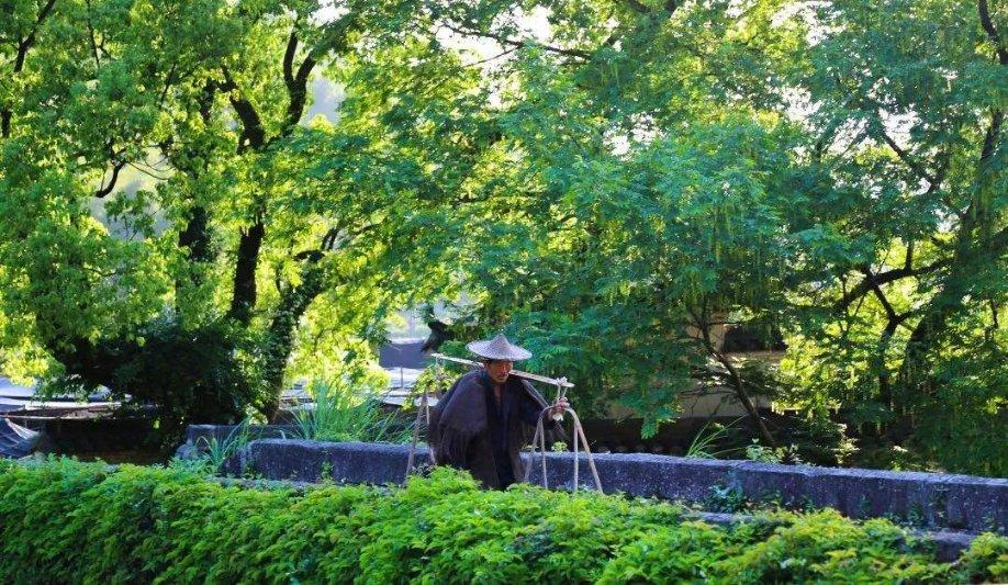 独步竹林